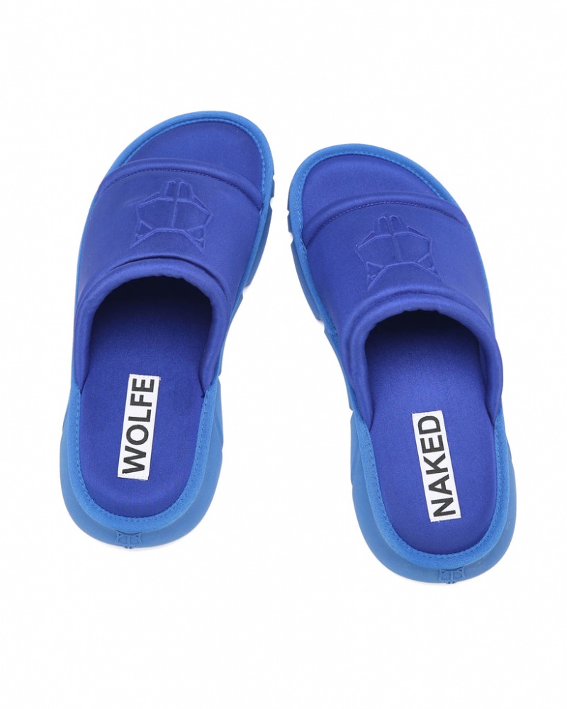 Naked Wolfe Arizona Men's Slides Blue Singapore | X6B-6973